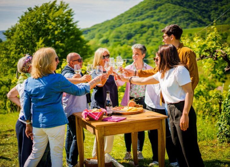 valdobbiadeneprosecco-superiore-hills-tour-with-winetasting