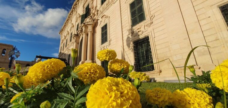 valletta-city-walking-tour-in-a-small-group