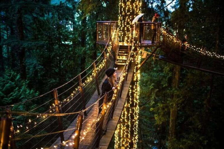 vancouver-capilano-canyon-lightpeak-of-christmas-in-grouse