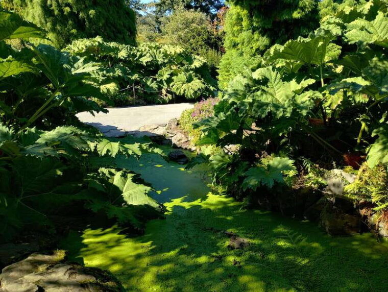 vancouver-car-tour-see-all-city-attractions-save-timemoney