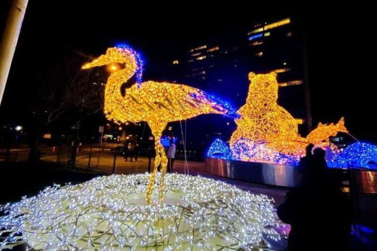 vancouver-christmas-light-tour-private