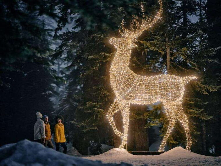 vancouver-christmas-lights-karaoke-trolley-tour