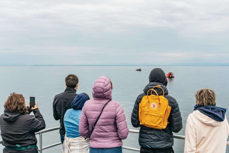 vancouver-covered-whale-watching-adventure-with-free-photos-2