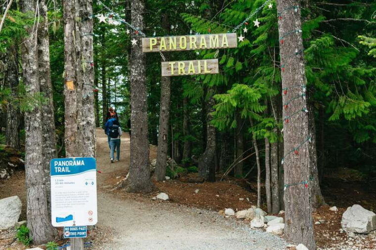 vancouver-sea-to-sky-gondola-and-whistler-day-trip-2