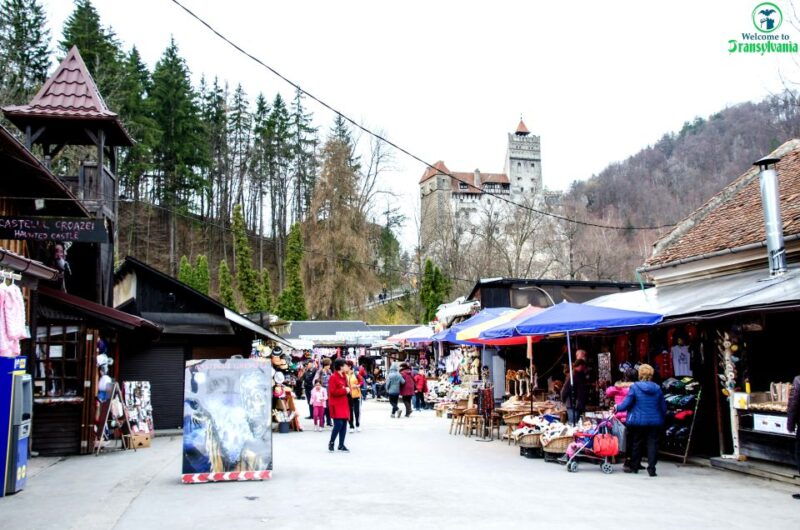 visit-bear-sanctuary-and-bran-castle-from-brasov
