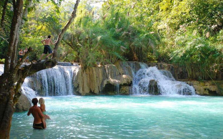 visit-buffalo-farm-cooking-class-forest-kuang-si-waterfall