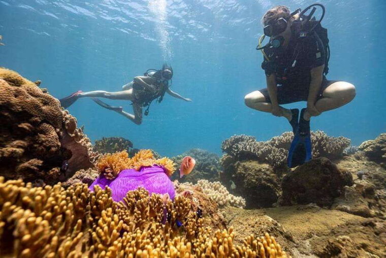 visit-cham-islands-snorkelling-scuba-diving