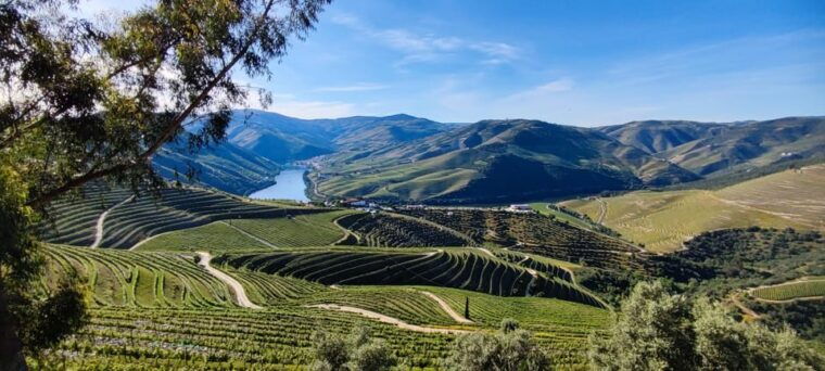 visit-pinhao-visit-and-wine-tasting-panoramic-cruise
