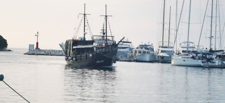 vrsar-dolphin-watching-boat-ride