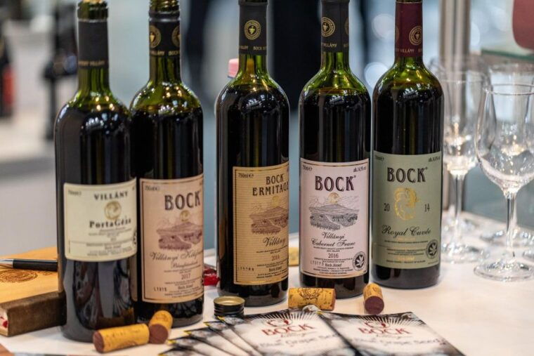 warsaw-wine-tasting-private-tour-with-wine-expert