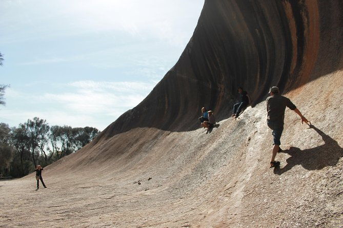 Wave Rock, Pinnacles and Rottnest One Day Aeroplane Tour - FAQ
