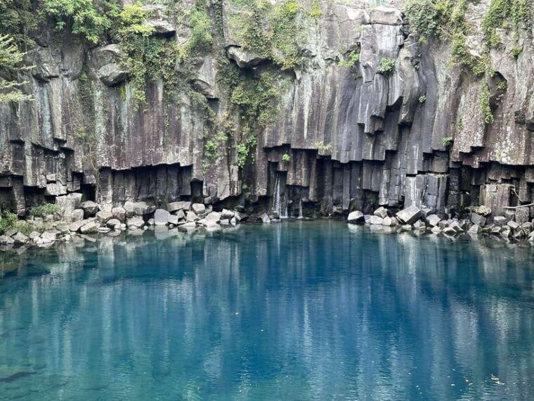 west-jeju-cherry-blossom-strawberry-picking-small-group-tour