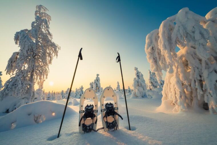 whistler-backcountry-snowshoeing-tour-with-guide