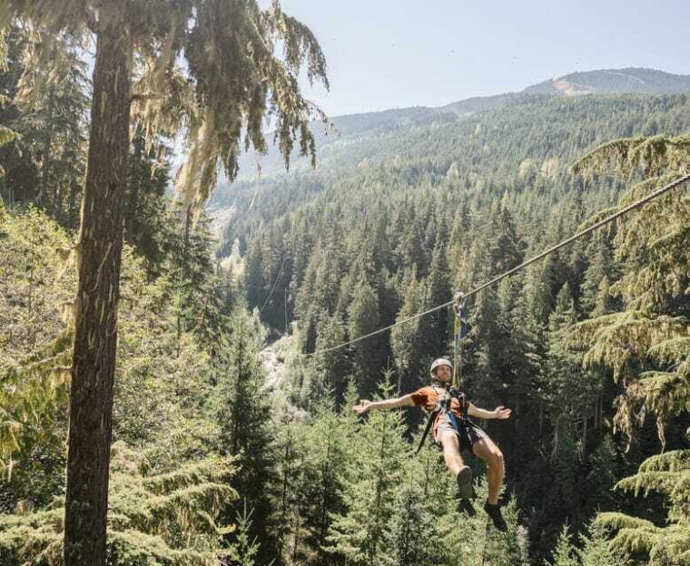 whistler-zipline-experience-ziptrek-bear-tour