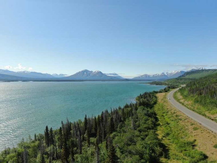 whitehorse-kluane-national-park-haines-junction-day-trip