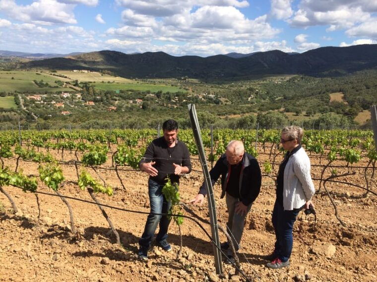 wine-experience-around-cagliari