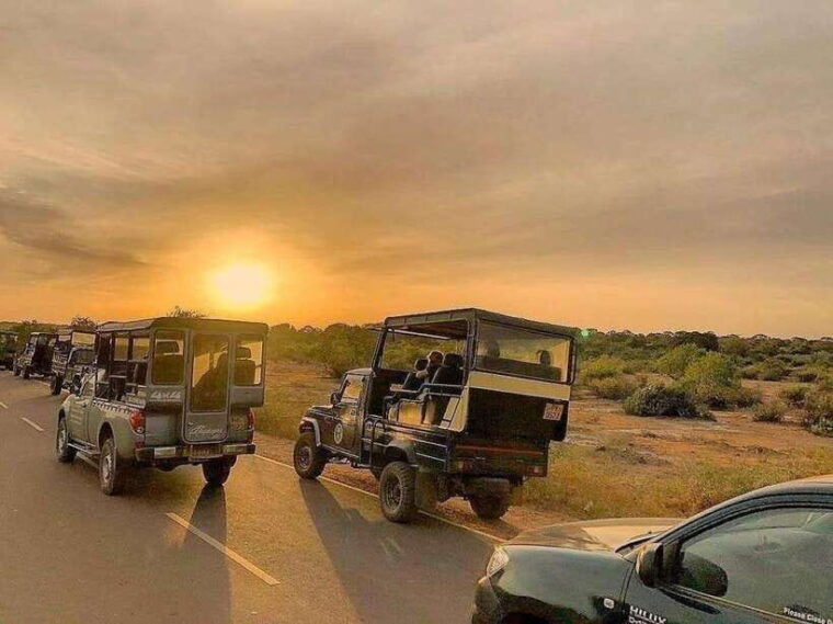 yala-national-park-7-hour-12-hour-leopard-safari-tours