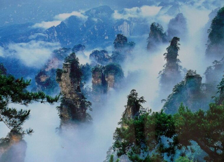 zhangjiajie-national-forest-park-private-day-tour