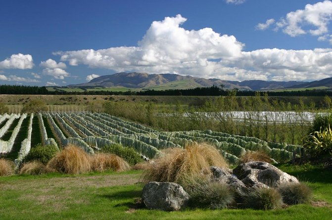 9 Hours Golf Activity in New Zealand with Lunch - Exploring the 9 Hours Golf and Wine Tour in Christchurch, New Zealand