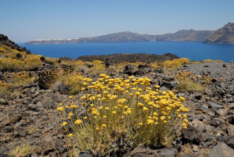 1-day-boat-trip-santorini-volcano-thirassia-oia-sunset