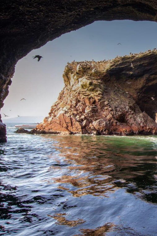 1-day-tour-to-ballestas-and-the-paracas-national-reserve