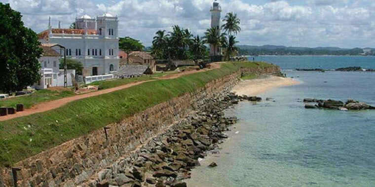 2-day-whale-watching-southern-sri-lanka-tour