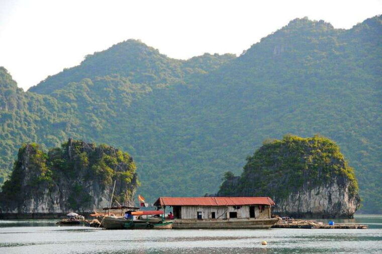 2-hour-private-canoe-discover-the-best-of-ha-long-bay