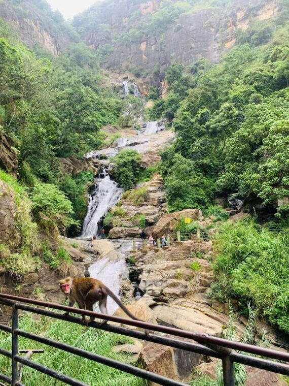 7-days-round-tour-in-sri-lanka