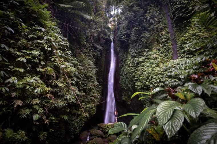 a-private-day-tour-to-explore-north-part-of-bali