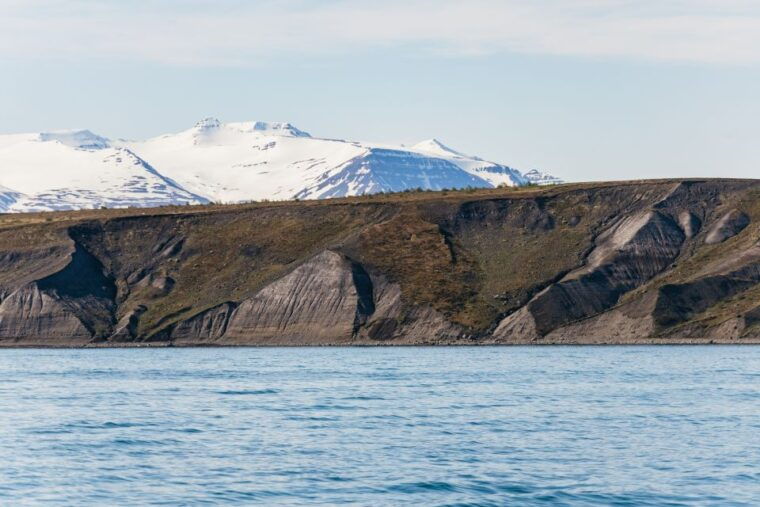 akureyri-3-hour-classic-whale-watching-tour-by-ship