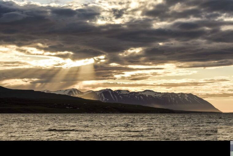 akureyri-whale-watching-in-the-midnight-sun