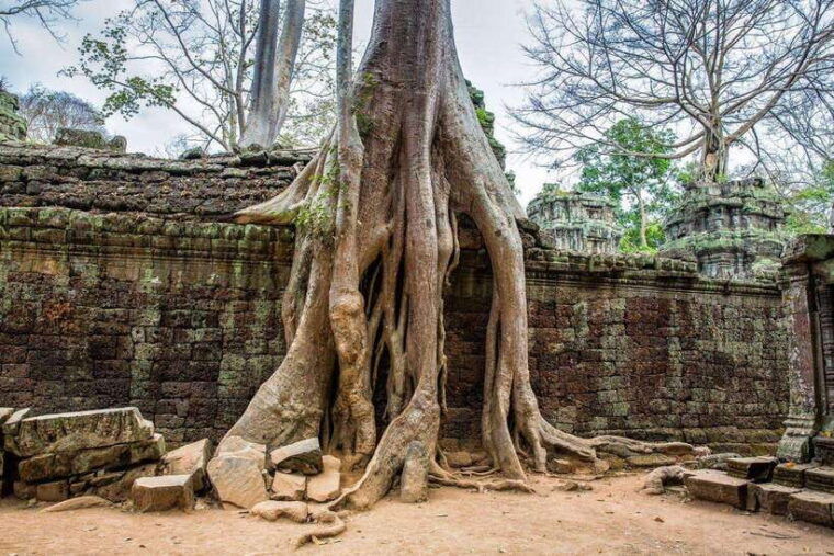 angkor-wat-sunrise-with-small-group