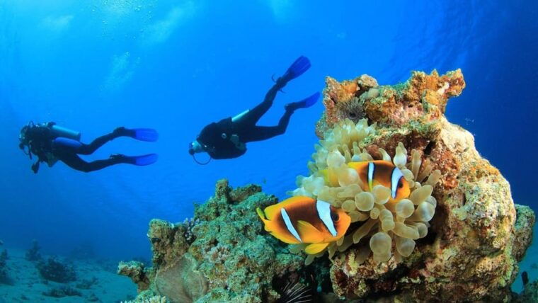 antalya-belek-scuba-diving-tour-with-2-time-dive-lunch