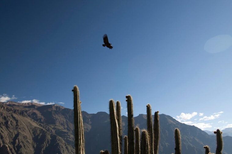 arequipa-2-day-classic-colca-canyon-tour