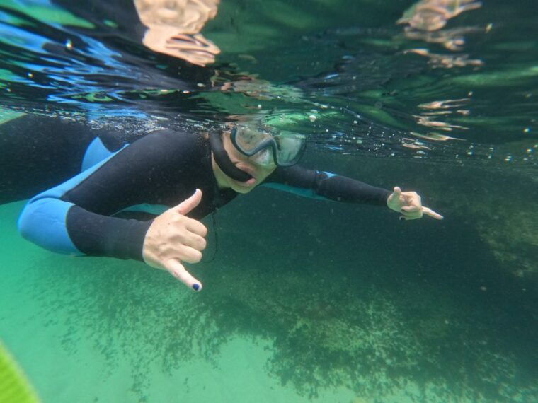 arrabida-snorkeling-experience-in-arrabida-marine-reserve