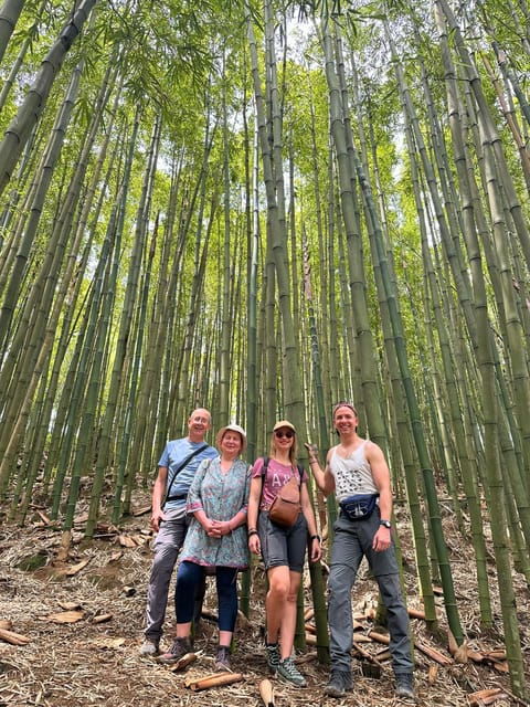 authentic-experiencebambooforestwaterfall-less-tourist