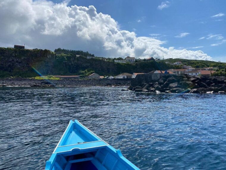 baleen-memory-unforgettable-ride-in-the-waters-of-pico