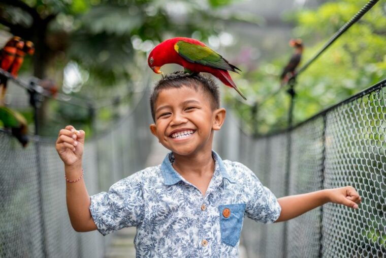 bali-bird-park-1-day-admission-ticket-2