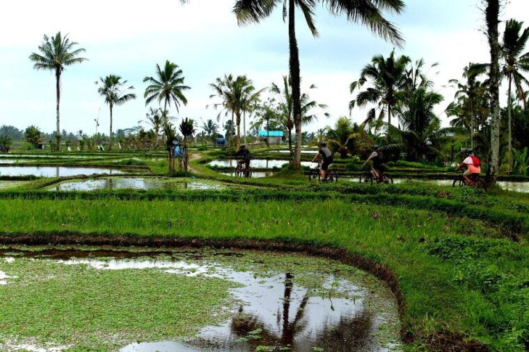 bali-kintamani-downhill-bike-tour-local-culture-insights