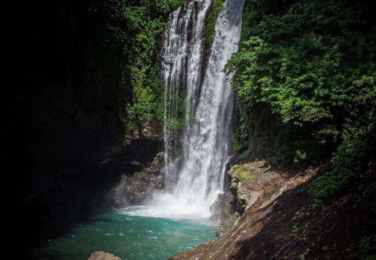 bali-lovina-dolphin-snorkeling-swimming-waterfall-tour