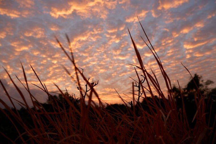 bali-mount-batur-entry-ticket-on-a-guided-hike-or-jeep-ride