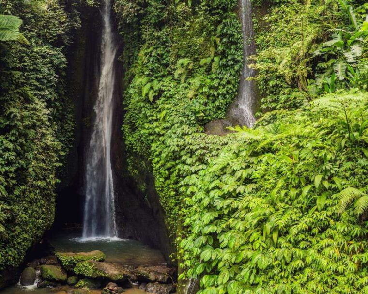 bali-north-bali-tour-with-jatiluwih-ulun-danu-waterfall