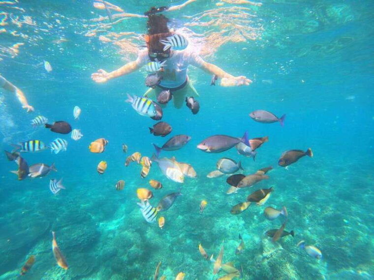 bali-snorkeling-waterfall-and-celuk-village-tour