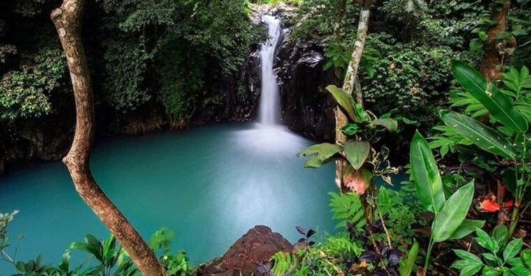 bali-top-highlights-private-full-day-tour-from-hotel