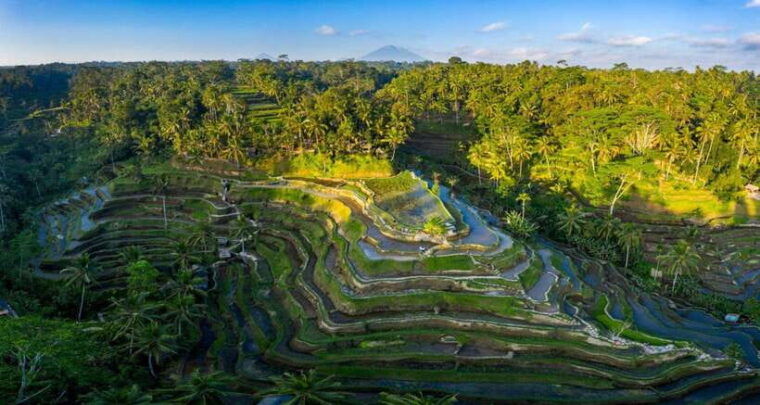 bali-ubud-day-trip-with-barong-dance