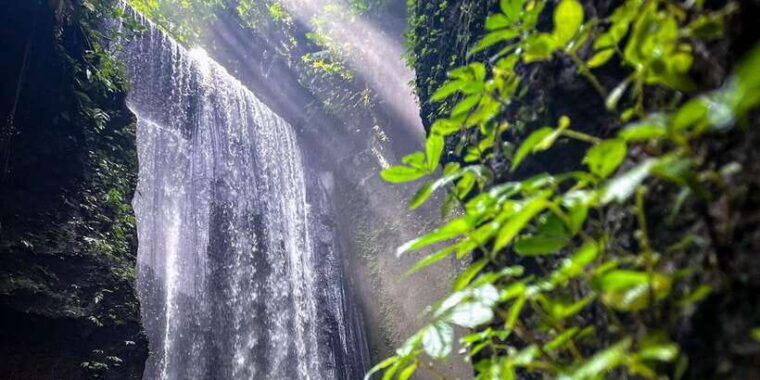 bali-ubud-tour-with-phone-photography-experiences