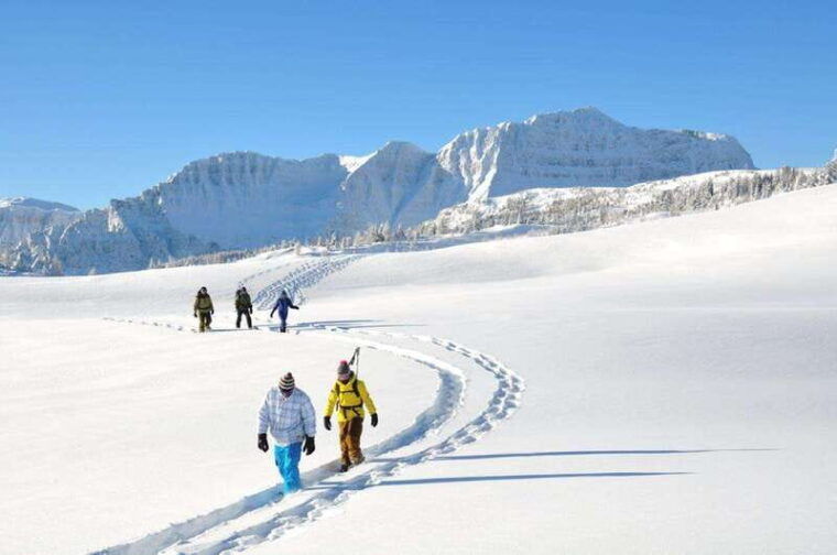 banff-national-park-sunshine-meadows-snowshoeing-experience