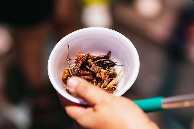 Bangkok: Michelin Guide Street Food Tour by Tuk Tuk - Experiencing Local Life and Culture in a Tuk Tuk