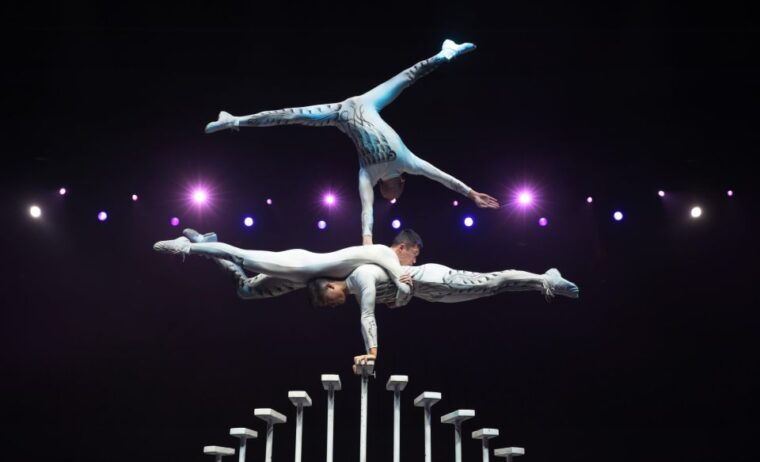 beijing-night-tour-with-acrobatics-show-pekingduck-dinner