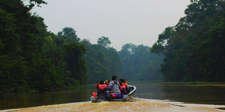 bentota-beach-river-mangroves-lagoon-wildlife-tour